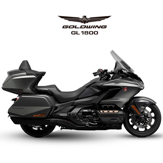 GOLDWING GOLDWING