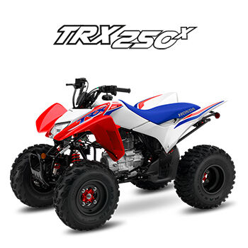 TRX 250 X